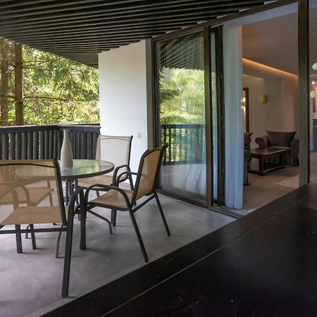 Poiana Brasov Alpin Executive Apartment Buitenkant foto